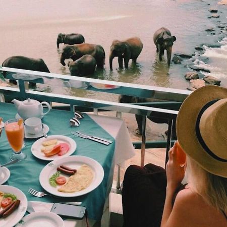 Hotel Elephant Park - New Deal! Half Off Airport Pickups Available Pinnawala  Exteriör bild