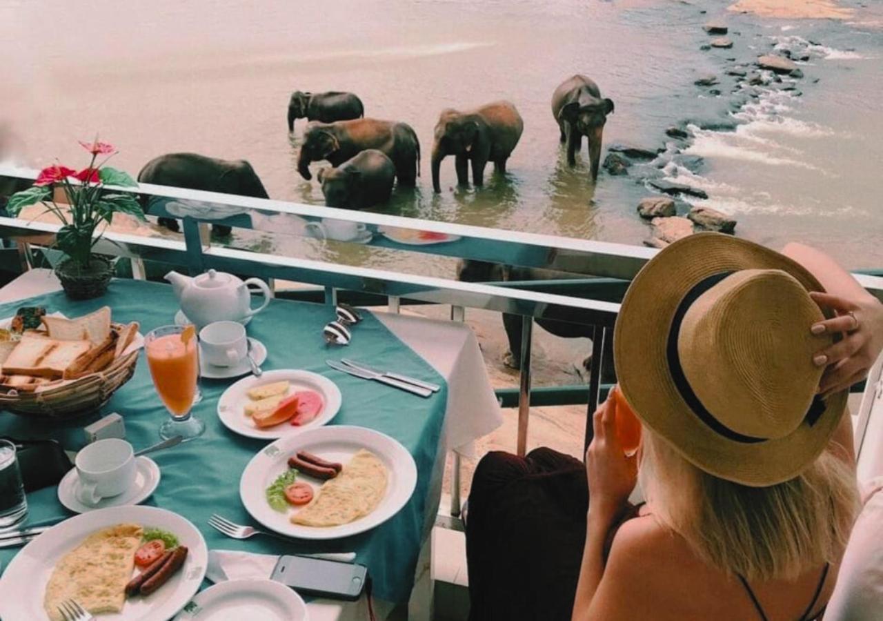 Hotel Elephant Park - New Deal! Half Off Airport Pickups Available Pinnawala  Exteriör bild