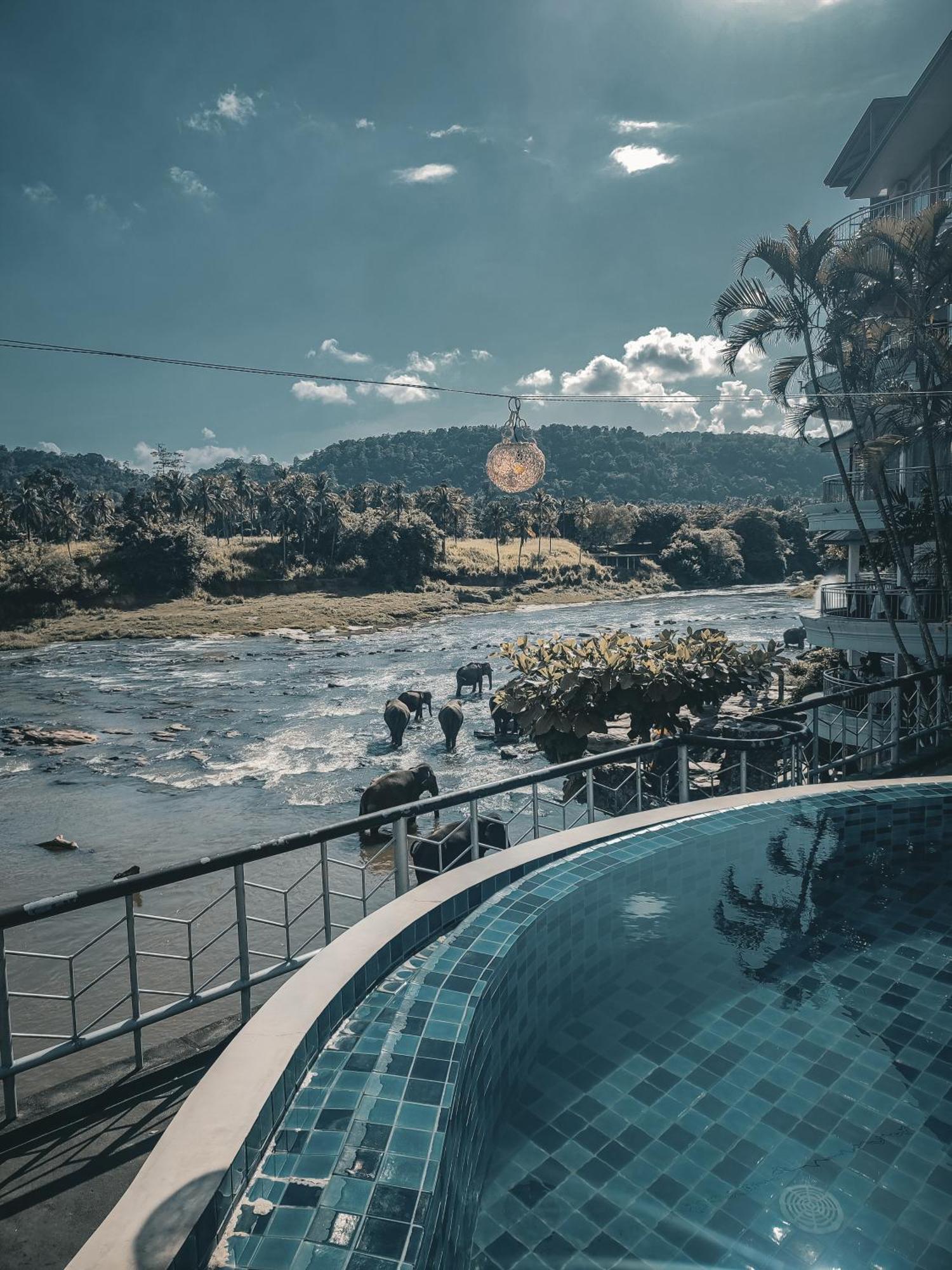 Hotel Elephant Park - New Deal! Half Off Airport Pickups Available Pinnawala  Exteriör bild