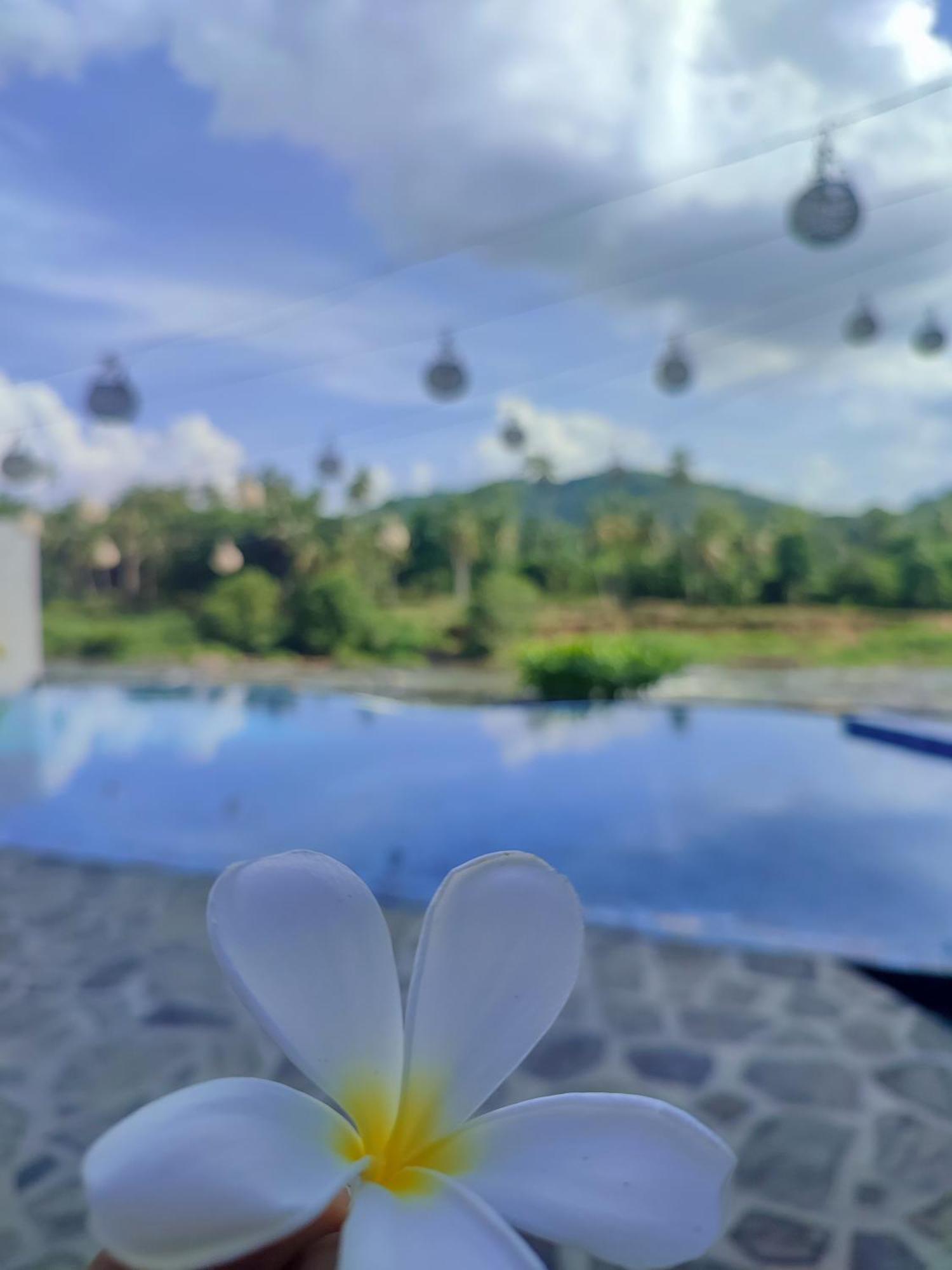 Hotel Elephant Park - New Deal! Half Off Airport Pickups Available Pinnawala  Exteriör bild