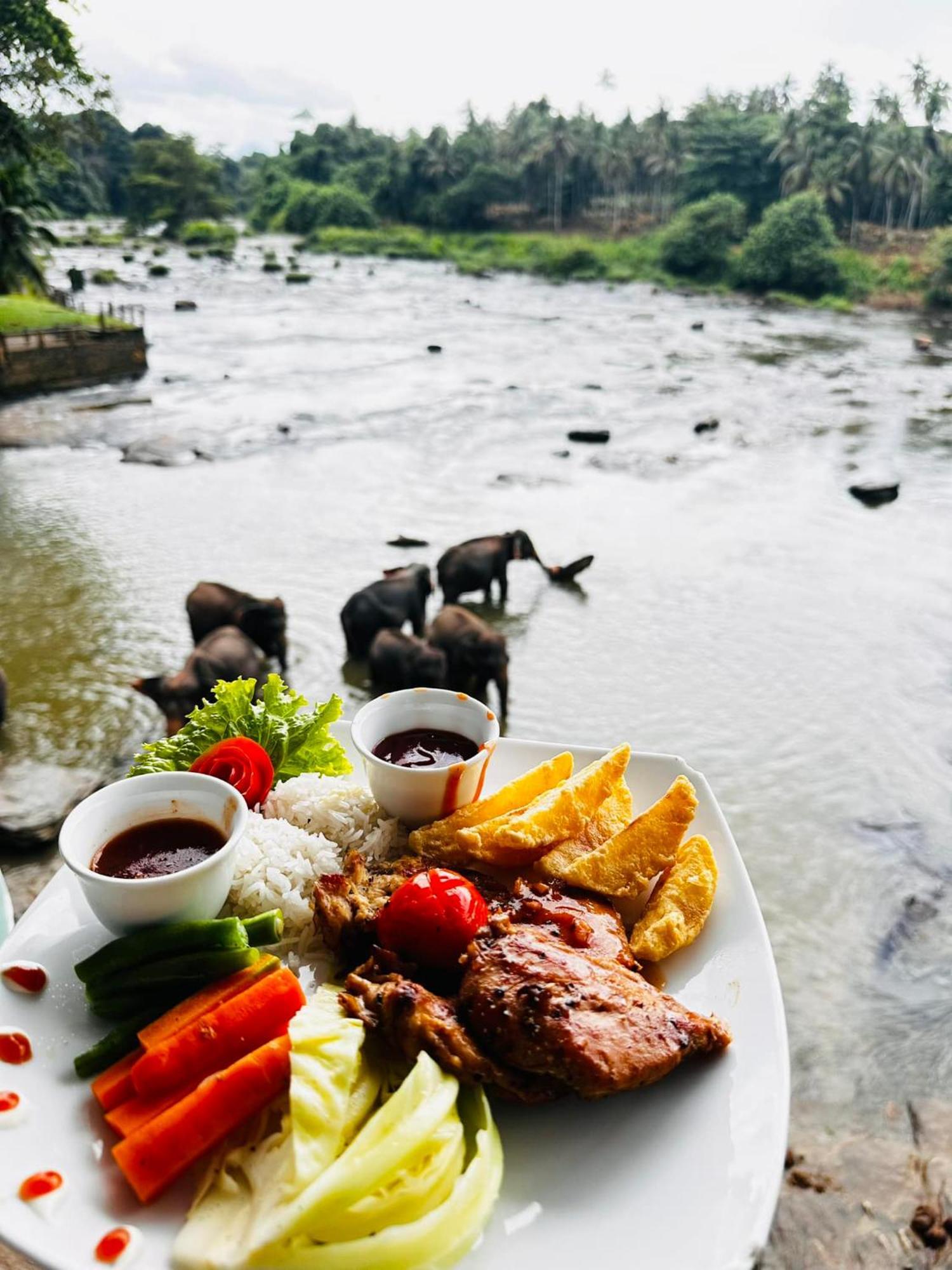 Hotel Elephant Park - New Deal! Half Off Airport Pickups Available Pinnawala  Exteriör bild