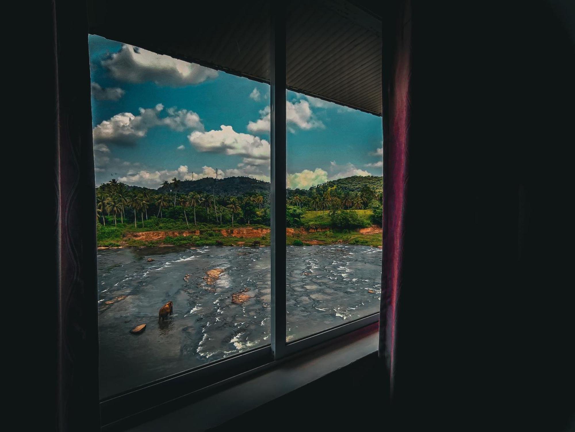Hotel Elephant Park - New Deal! Half Off Airport Pickups Available Pinnawala  Exteriör bild