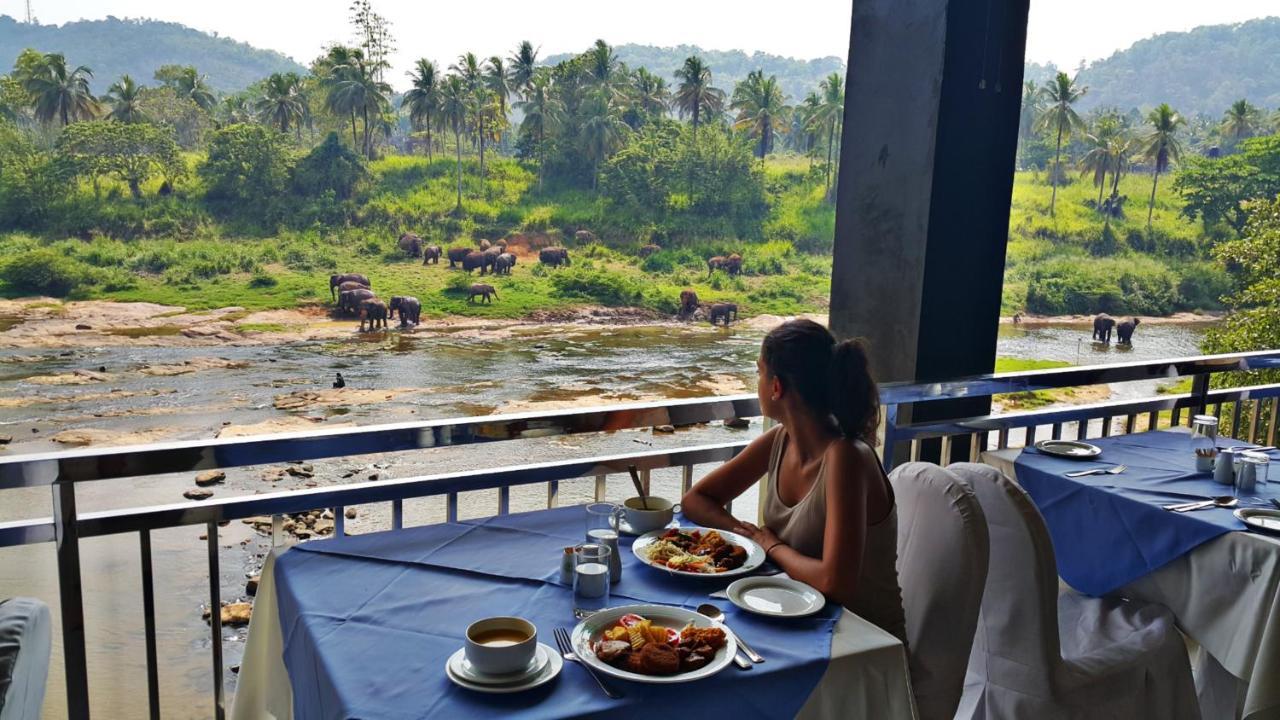 Hotel Elephant Park - New Deal! Half Off Airport Pickups Available Pinnawala  Exteriör bild