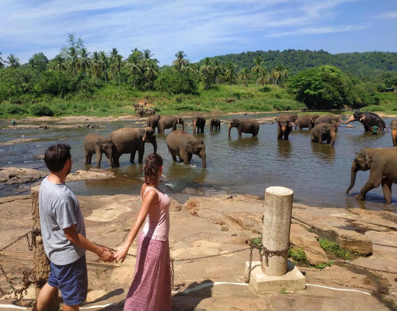 Hotel Elephant Park - New Deal! Half Off Airport Pickups Available Pinnawala  Exteriör bild