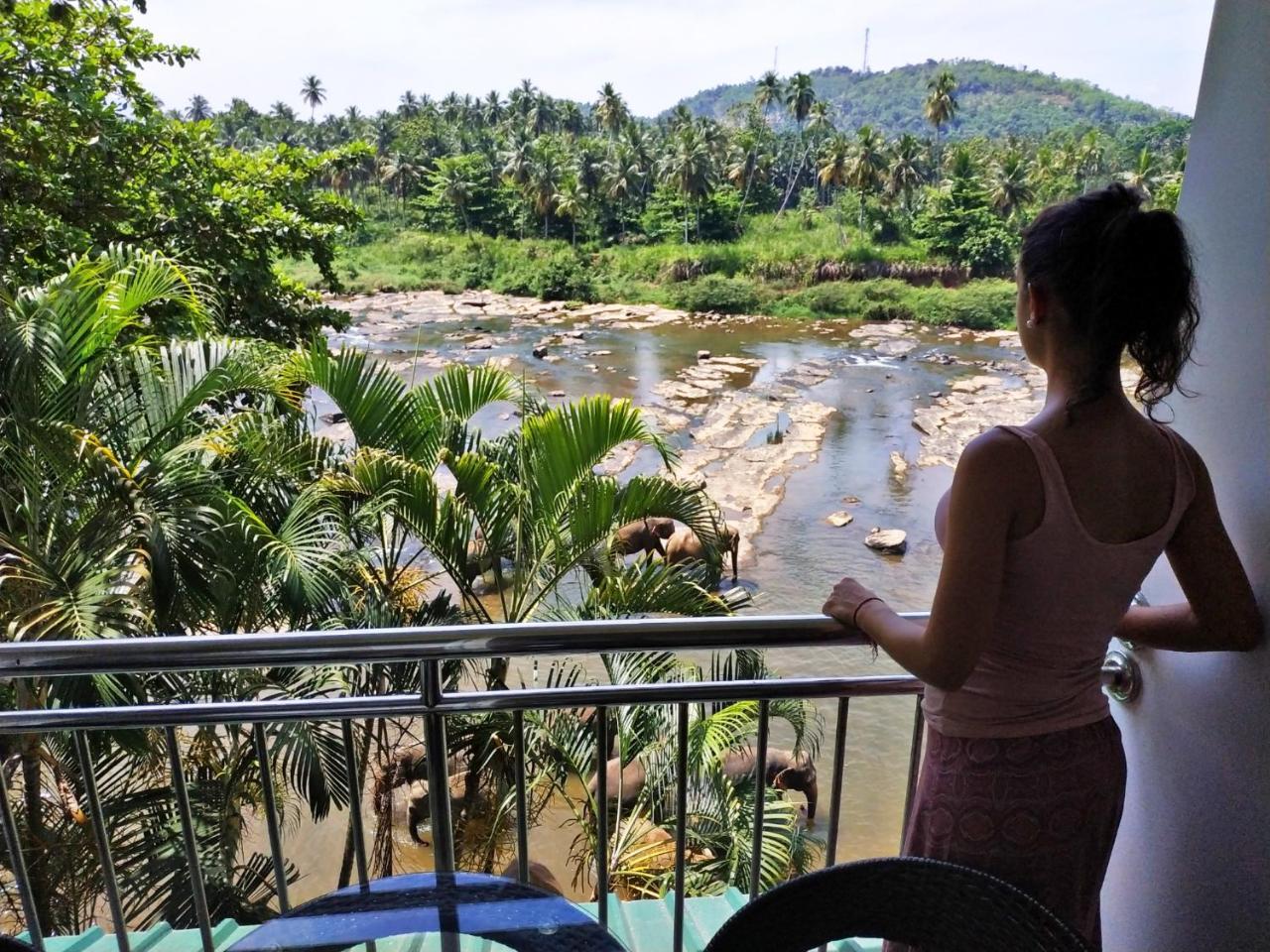 Hotel Elephant Park - New Deal! Half Off Airport Pickups Available Pinnawala  Exteriör bild