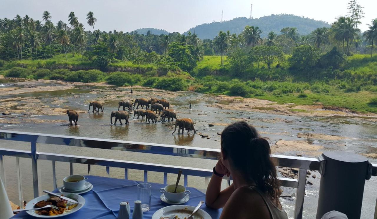 Hotel Elephant Park - New Deal! Half Off Airport Pickups Available Pinnawala  Exteriör bild