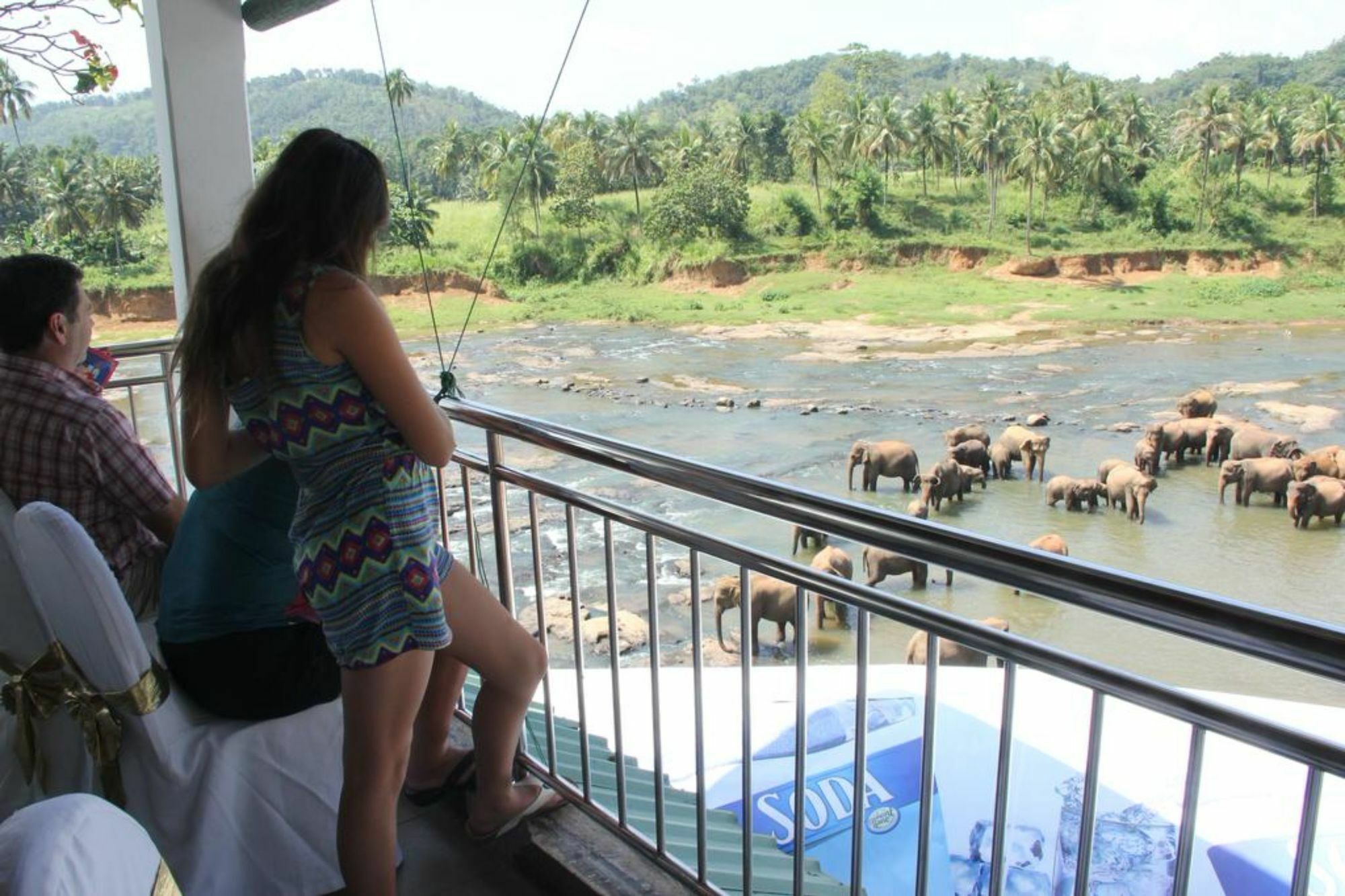 Hotel Elephant Park - New Deal! Half Off Airport Pickups Available Pinnawala  Exteriör bild