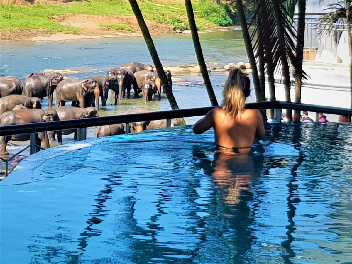 Hotel Elephant Park - New Deal! Half Off Airport Pickups Available Pinnawala  Exteriör bild