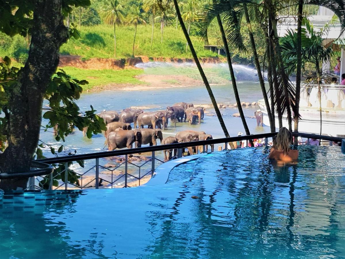 Hotel Elephant Park - New Deal! Half Off Airport Pickups Available Pinnawala  Exteriör bild